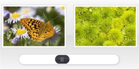 左右拖动flash+xml图片展示效果